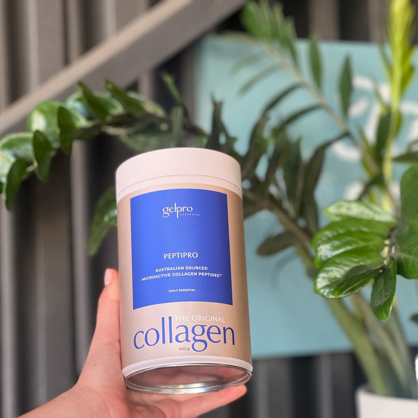 Gelpro Original Hydrolised Collagen Powder 500g